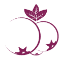 Liv Aronia Company Berry Icon for the Press and Media Page